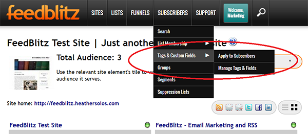 Screenshot of FeedBlitz Publisher Dashboard showing Custom Fields and Tagging