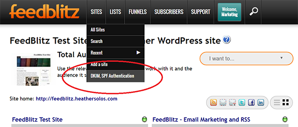 Screenshot of DKIM and SPF Authentication in FeedBlitz Publisher's Platform under Sites