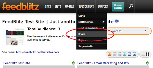 Screenshot of FeedBlitz Dashboard showing location of Groups