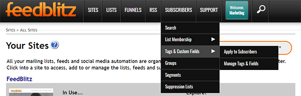 Preview of where to find Tags and Custom Fields from the FeedBlitz menu bar.